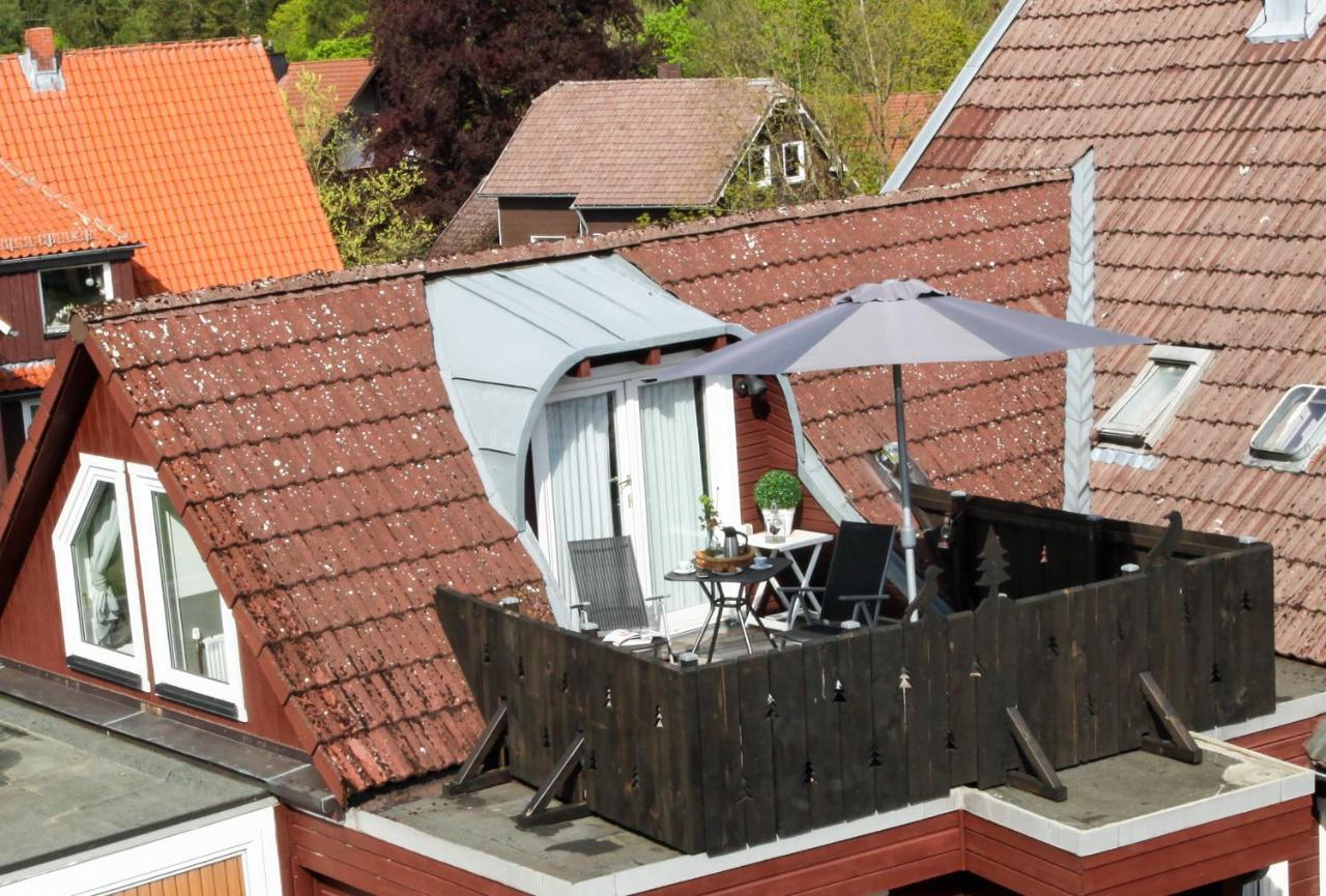 Appartement Harzer Rabe à Braunlage Extérieur photo