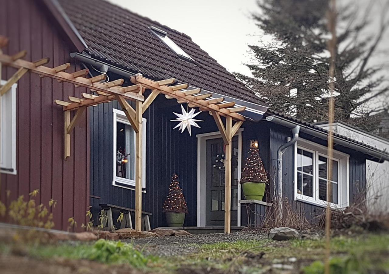 Appartement Harzer Rabe à Braunlage Extérieur photo