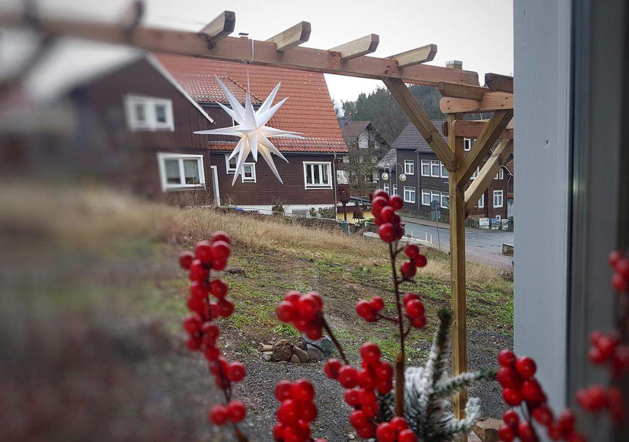 Appartement Harzer Rabe à Braunlage Extérieur photo